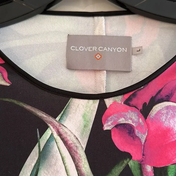 Clover canyon rose stripe dress - Picture 2 of 8